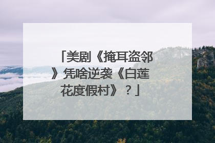 美剧《掩耳盗邻》凭啥逆袭《白莲花度假村》？