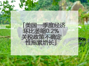 美国一季度经济环比萎缩0.2% 关税政策不确定性拖累增长
