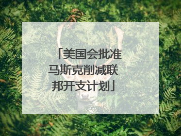 美国会批准马斯克削减联邦开支计划