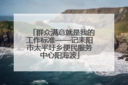 群众满意就是我的工作标准——记耒阳市太平圩乡便民服务中心阳海波