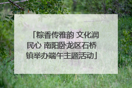 粽香传雅韵 文化润民心 南阳卧龙区石桥镇举办端午主题活动