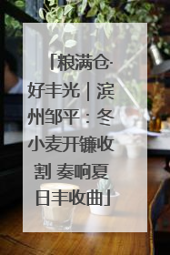 粮满仓·好丰光｜滨州邹平：冬小麦开镰收割 奏响夏日丰收曲