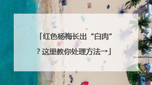 红色杨梅长出“白肉”？这里教你处理方法→