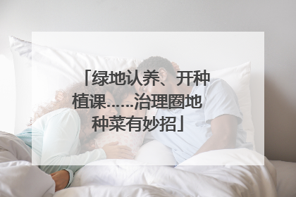 绿地认养、开种植课……治理圈地种菜有妙招