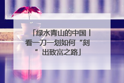 绿水青山的中国丨看一刀一划如何“刻”出致富之路