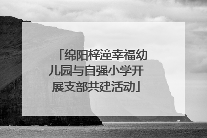 绵阳梓潼幸福幼儿园与自强小学开展支部共建活动