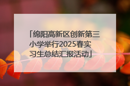 绵阳高新区创新第三小学举行2025春实习生总结汇报活动