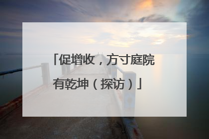 促增收，方寸庭院有乾坤（探访）