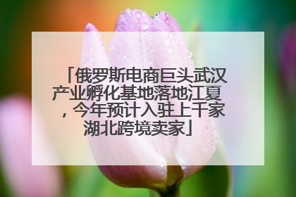 俄罗斯电商巨头武汉产业孵化基地落地江夏，今年预计入驻上千家湖北跨境卖家