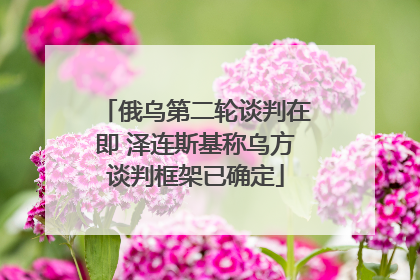 俄乌第二轮谈判在即 泽连斯基称乌方谈判框架已确定