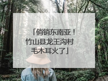 俏销东南亚！竹山县龙王沟村毛木耳火了