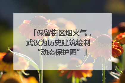 保留街区烟火气，武汉为历史建筑绘制“动态保护图”