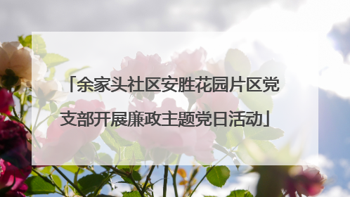 余家头社区安胜花园片区党支部开展廉政主题党日活动