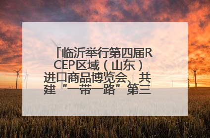 临沂举行第四届RCEP区域（山东）进口商品博览会、共建“一带一路”第三届临沂商城国际采购商大会新闻发布会