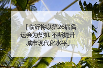 临沂将以第26届省运会为契机 不断提升城市现代化水平