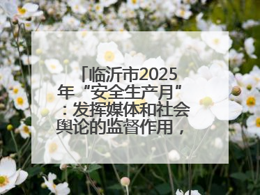 临沂市2025年“安全生产月”：发挥媒体和社会舆论的监督作用，及时发现并消除安全隐患