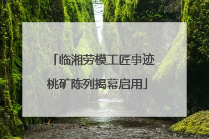 临湘劳模工匠事迹桃矿陈列揭幕启用