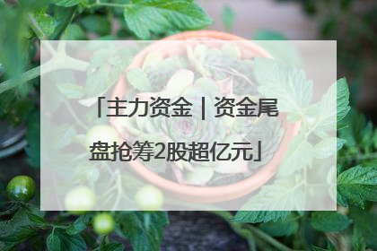 主力资金｜资金尾盘抢筹2股超亿元