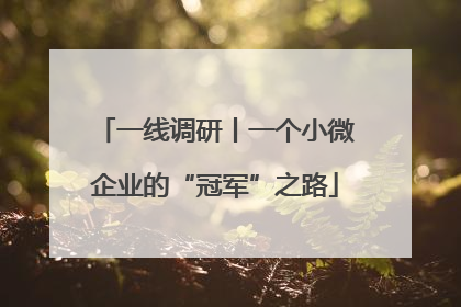 一线调研丨一个小微企业的“冠军”之路
