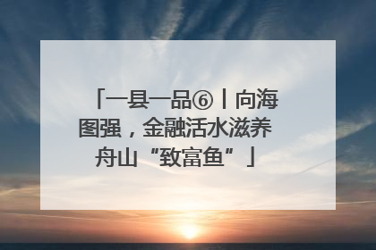 一县一品⑥丨向海图强，金融活水滋养舟山“致富鱼”