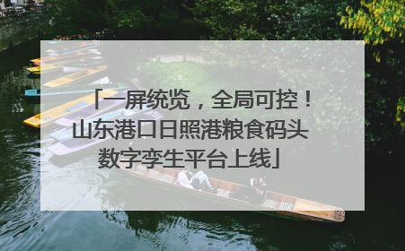 一屏统览，全局可控！山东港口日照港粮食码头数字孪生平台上线