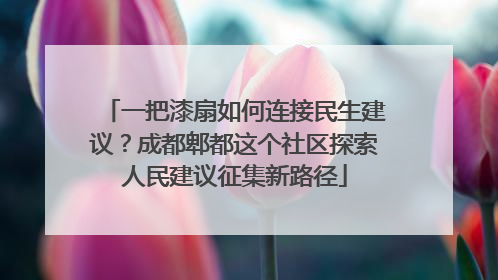 一把漆扇如何连接民生建议？成都郫都这个社区探索人民建议征集新路径