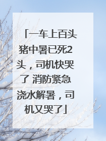 一车上百头猪中暑已死2头，司机快哭了 消防紧急浇水解暑，司机又哭了