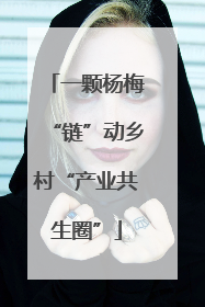 一颗杨梅“链”动乡村“产业共生圈”