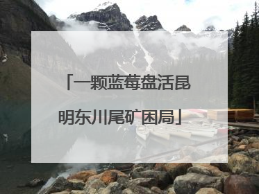 一颗蓝莓盘活昆明东川尾矿困局