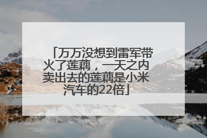 万万没想到雷军带火了莲藕，一天之内卖出去的莲藕是小米汽车的22倍