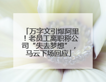 万字文引爆阿里！老员工离职称公司“失去梦想”，马云下场回应
