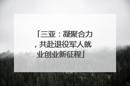 三亚：凝聚合力，共赴退役军人就业创业新征程