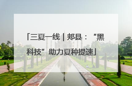 三夏一线｜郏县：“黑科技”助力夏种提速
