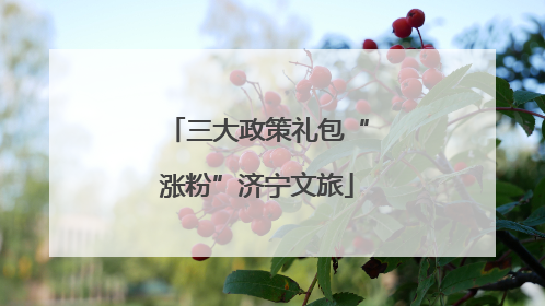三大政策礼包“涨粉”济宁文旅