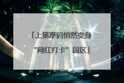 上第摩码悄然变身“网红打卡”园区