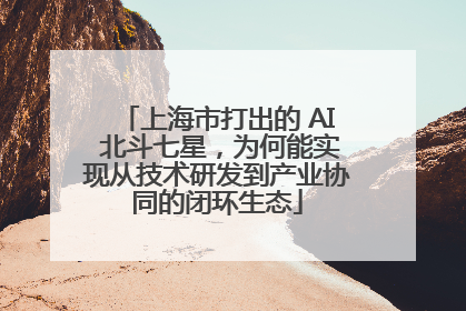 上海市打出的 AI 北斗七星，为何能实现从技术研发到产业协同的闭环生态