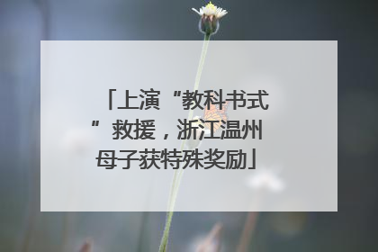 上演“教科书式”救援，浙江温州母子获特殊奖励