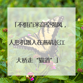 不惧百米高空强风，人形机器人在燕矶长江大桥走“猫道”