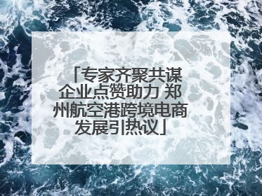 专家齐聚共谋 企业点赞助力 郑州航空港跨境电商发展引热议