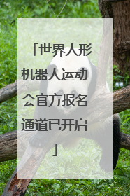 世界人形机器人运动会官方报名通道已开启