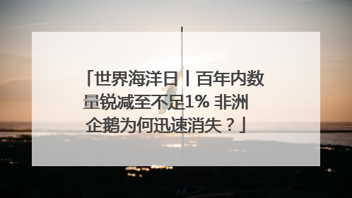 世界海洋日丨百年内数量锐减至不足1% 非洲企鹅为何迅速消失？