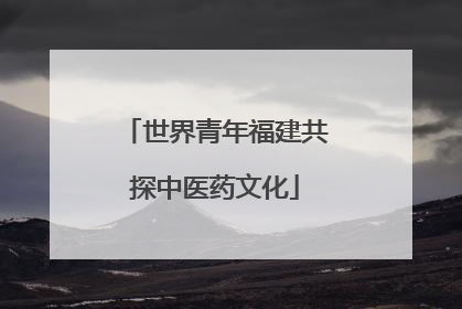 世界青年福建共探中医药文化