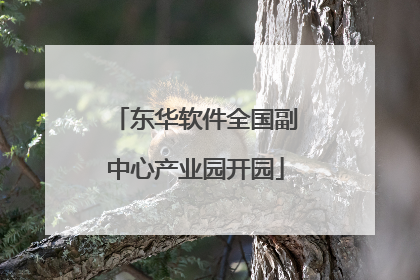 东华软件全国副中心产业园开园