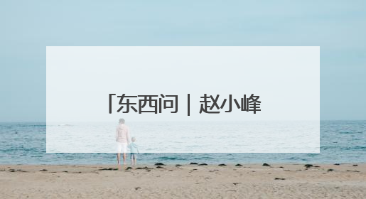东西问｜赵小峰：“秦岭工坊”何以扬帆出海？