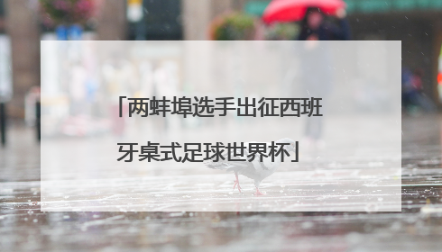 两蚌埠选手出征西班牙桌式足球世界杯