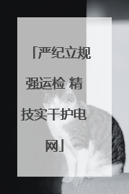 严纪立规强运检 精技实干护电网