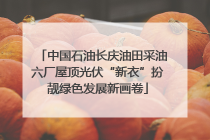 中国石油长庆油田采油六厂屋顶光伏“新衣”扮靓绿色发展新画卷