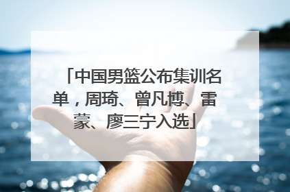 中国男篮公布集训名单，周琦、曾凡博、雷蒙、廖三宁入选