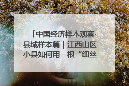 中国经济样本观察·县域样本篇｜江西山区小县如何用一根“细丝”拉出百亿级产业？