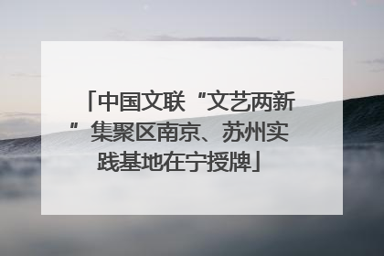 中国文联“文艺两新”集聚区南京、苏州实践基地在宁授牌
